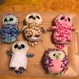 5 Ty beanie Boo’s (all with original tags)